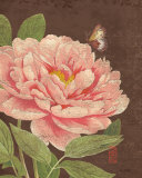 Garden Peony I Láminas por Katie Pertiet
