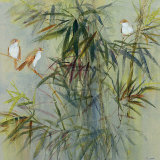 Bambu I Affiches par Mei 
