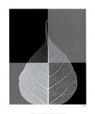 Crystalline Form I Plakater af Haya Gil