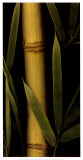 Golden II Posters by Rosemarie Stanford
