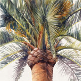 Roma Palm Posters by Lois Brezinski