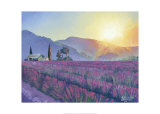 Sonnenaufgang Provence Posters par Talantbek Chekirov
