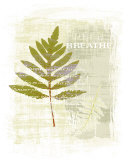 Breathe Art by Susan Eby Glass