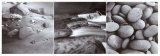 Cool Water Prints by Tom Kirkendall