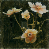Midsummer Night Bloom II Poster von John Douglas