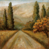 Along the Road Affiches par Xavier 