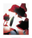 Transparente Blueten II - Rose プリント - Joern・Zolondek