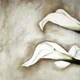Brilliant Calla III Posters by Heidi Gerstner