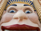 Luna Park, Sydney, New South Wales, Australia, Pacific Photographic Print by Sergio Pitamitz Luna Park, Sydney, New South Wales, Australia, Pacific Photographic Print by Sergio Pitamitz