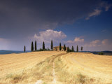 Cottage and Cypress Trees Near Pienza, Val d'Orcia, Siena Province, Tuscany, Italy, Europe Photographic Print by Sergio Pitamitz