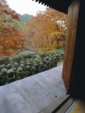 Nenbutsu Dera (Temple), Arashiyama, Kyoto, Japan Photographic Print by Chris Kober