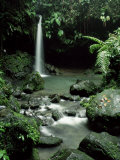Waterfall Flowing into the Emerald Pool, Dominica, West Indies, Central America Photographic Print by James Gritz