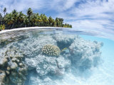 Fakarawa, Tuamotu Archipelago, French Polynesia, Pacific Islands, Pacific Photographic Print by Sergio Pitamitz