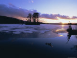 Winter Landscape, Loch Mallachie, Speyside, Scotland, UK, Europe Photographie par David Tipling