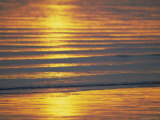 Golden Light on Ripples on the Sea Shore Photographic Print by David Tipling