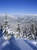 Snow Covered Pines in the Demanovska Valley, Low Tatra Mountains, Slovakia, Europe Photographie par Richard Nebesky