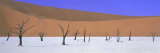 Panoramic View of Dead Trees and Orange Sand Dunes, Dead Vlei, Namib Desert, Namibia, Africa Photographic Print by Lee Frost