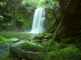 Beauchamp Fall, Waterfall in the Rainforest, Otway N.P., Great Ocean Road, Victoria, Australia Lámina fotográfica por Thorsten Milse Beauchamp Fall, Waterfall in the Rainforest, Otway N.P., Great Ocean Road, Victoria, Australia Lámina fotográfica por Thorsten Milse