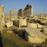 The Ruins at Palmyra, Syria Photographic Print by Michael Jenner
