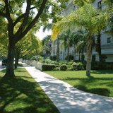 Trees and Grass Along Sidewalk, Beverly Hills, Los Angeles, California, USA Photographie par David Lomax