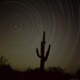 Star Trek Over Cacti, Tracing Stars as They Move Round North Star, Tucson, Arizona, USA Photographic Print by Tony Gervis