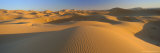 View Across Sand Dunes of the Erg Chebbi, Sahara Desert Near Merzouga, Morocco Photographie par Lee Frost