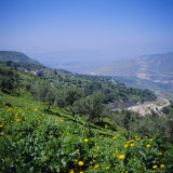 Umm Qais by the Sea of Galilee, Jordan, Middle East Photographie par Christopher Rennie