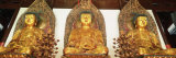 Medicine, Sakyamuni and Amithaba Gold Buddha Statues, Heavenly King Hall, Shanghai, China Photographic Print by Gavin Hellier
