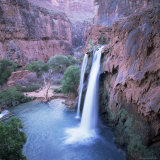 Havasu Falls, Grand Canyon, United States of America (U.S.A.), North America Photographic Print by Tony Gervis