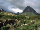 Horseback Riding, Glacier International Peace Park, Montana Photographic Print by James Gritz