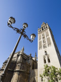 Seville Catheral and La Giralda, Plaza Virgin De Los Reyes, Santa Cruz District, Andalusia, Spain Photographic Print by Robert Harding