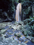 The Diamond Waterfalls at the Diamond Botanical Gardens, Windward Islands, West Indies Photographie par Yadid Levy
