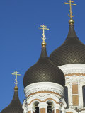 Domes of the Alexander Nevsky Cathedral, Russian Orthodox Church, Toompea Hill, Tallinn, Estonia Photographic Print by Neale Clarke
