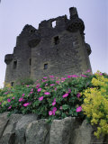 Scalloway Castle, Dating from the 16th Century, Mainland, Shetland Islands, Scotland Photographie par Patrick Dieudonne