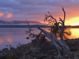 Sunrise, Lake St. Clair, Cradle Mountain Lake St. Clair National Park, Tasmania, Australia Lámina fotográfica por Jochen Schlenker Sunrise, Lake St. Clair, Cradle Mountain Lake St. Clair National Park, Tasmania, Australia Lámina fotográfica por Jochen Schlenker