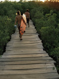 Boardwalk to Surf from Cabinas Las Olas, Avellanas Beach, Guanacaste State, Northwest, Costa Rica Photographic Print by Aaron McCoy