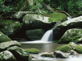 Cascade, Great Smoky Mountains National Park, Unesco World Heritage Site, Tennessee, USA Lámina fotográfica por James Hager Cascade, Great Smoky Mountains National Park, Unesco World Heritage Site, Tennessee, USA Lámina fotográfica por James Hager