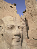 Statue of the Pharaoh Ramses II, Luxor Temple, Thebes, Unesco World Heritage Site, Egypt Photographic Print by Nico Tondini