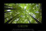 Grow Prints