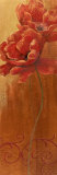 Poppy Dance II Prints by Nan Poppy Dance II Prints by Nan