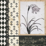 Argyle et Fleurs I Posters by Carol Robinson Argyle et Fleurs I Posters by Carol Robinson