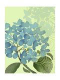 Hydrangea in Blue Posters