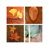 Shiny Leaf in Rust Print