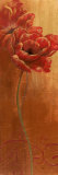 Poppy Dance I Posters by Nan Poppy Dance I Posters by Nan