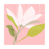 Soft Floral VII Fotoprint Soft Floral VII Fotoprint