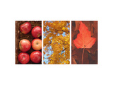 Autumn Apple Basket Posters Autumn Apple Basket Posters