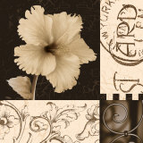 Hibiscus Blossom I Prints by Katrina Craven