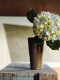Hydrangea Rustic Vase Prints
