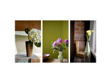 Buttercups at Window Prints