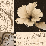 Hibiscus Blossom II Posters by Katrina Craven